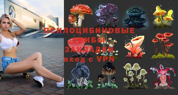 прущие грибы Алексин
