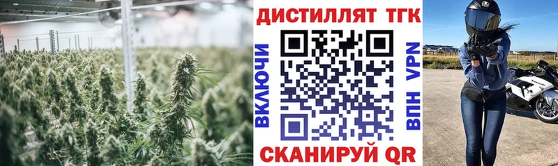Дистиллят ТГК концентрат Жиздра